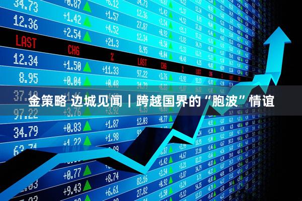 金策略 边城见闻｜跨越国界的“胞波”情谊
