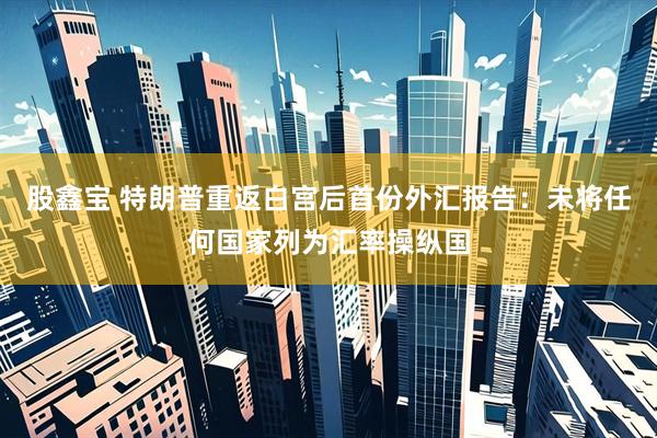 股鑫宝 特朗普重返白宫后首份外汇报告：未将任何国家列为汇率操纵国