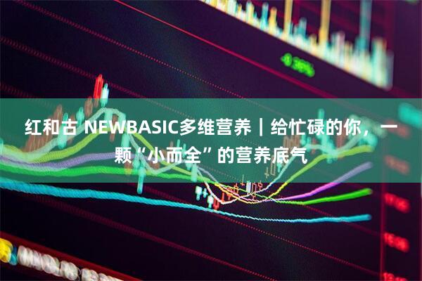 红和古 NEWBASIC多维营养｜给忙碌的你，一颗“小而全”的营养底气