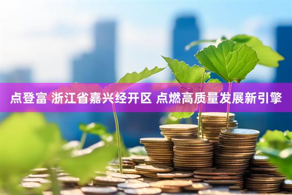 点登富 浙江省嘉兴经开区 点燃高质量发展新引擎