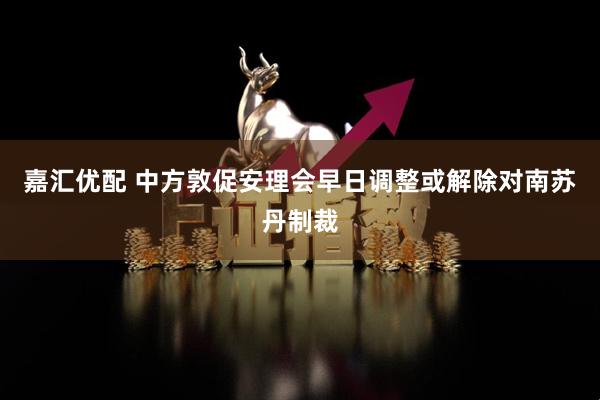 嘉汇优配 中方敦促安理会早日调整或解除对南苏丹制裁