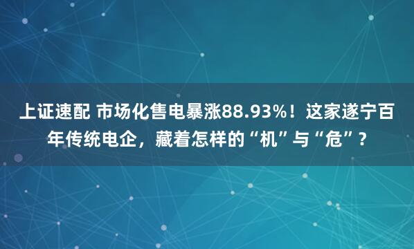 上证速配 市场化售电暴涨88.93%！这家遂宁百年传统电企，藏着怎样的“机”与“危”？